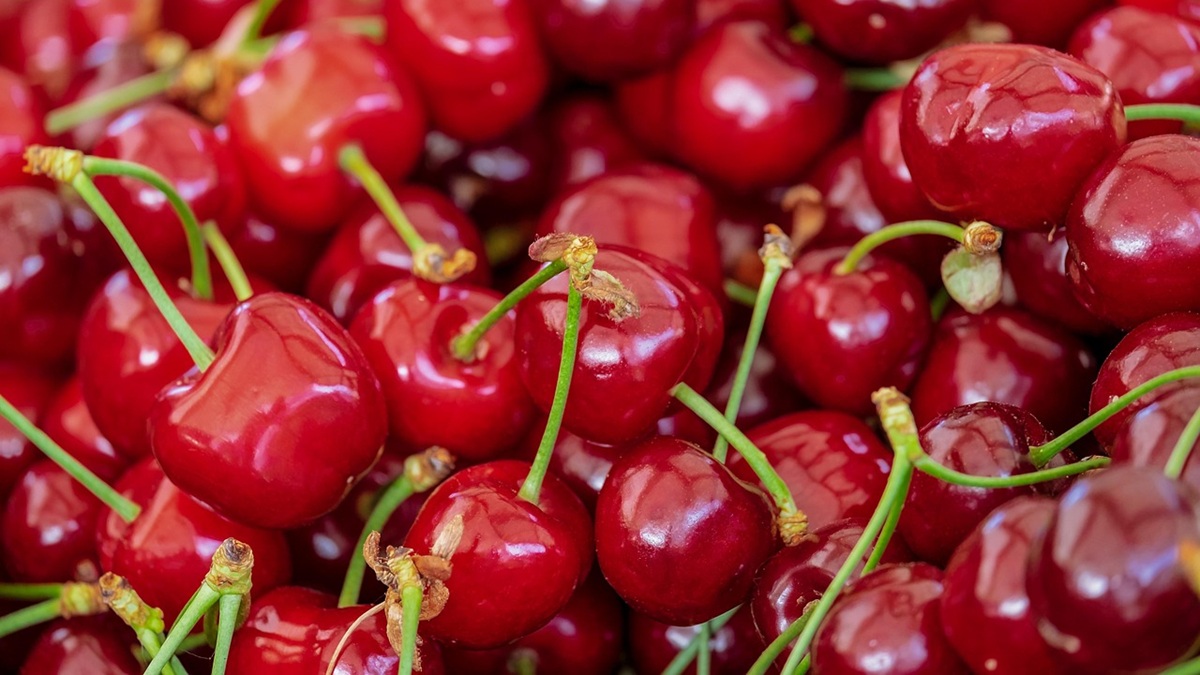 Innovacion rentable para la cadena de suministro cómo Vidre+™ preserva la calidad de los frutos.jpg